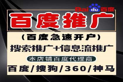 百度竞价广告投放策略：案例分析及优化建议
